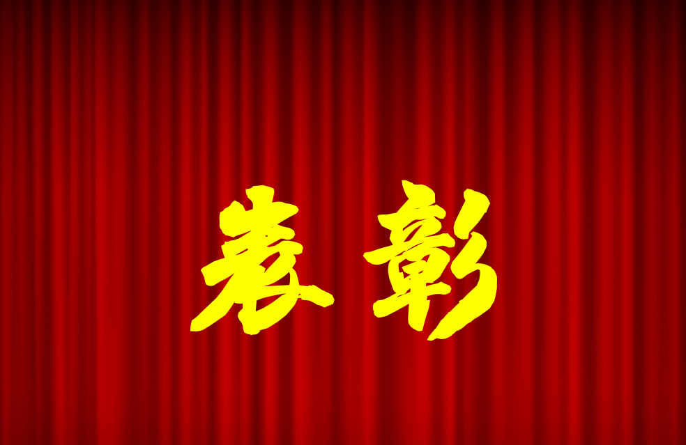 逐光前行、榮耀共鑒 | 公司2024年度表彰來啦！